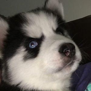 Meet your Posher, Tamara